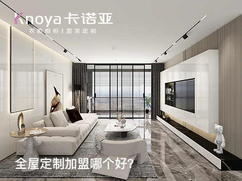 卡諾亞和索菲亞哪個好? 卡諾亞和索菲亞哪個好?